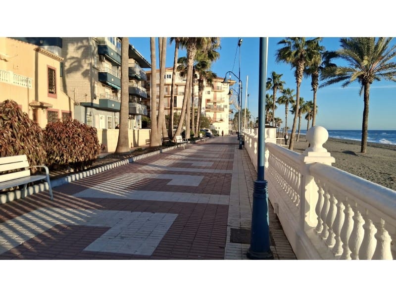 1 Zimmer Wohnung zu verkaufen in El Morche - 195.000 € (Ref: 9674018)