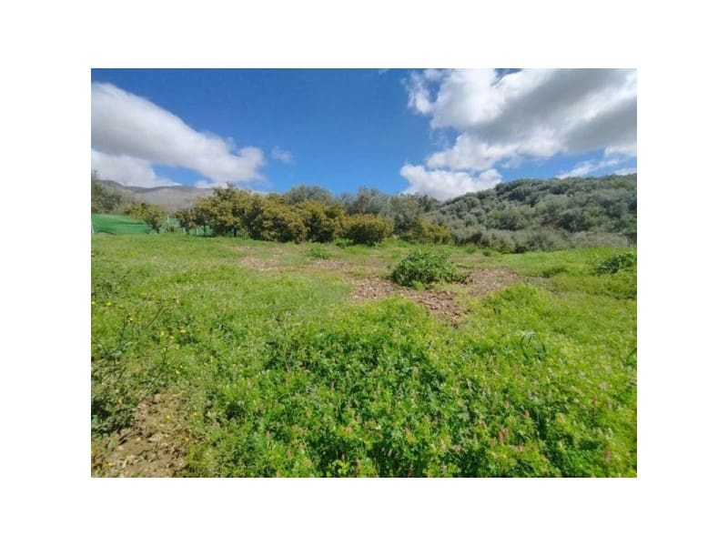 9 bedroom Finca/Country House for sale in Periana with garage - € 159,900 (Ref: 9677060)