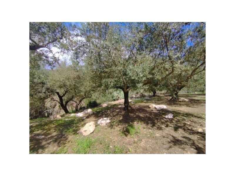 9 bedroom Finca/Country House for sale in Periana with garage - € 159,900 (Ref: 9677060)