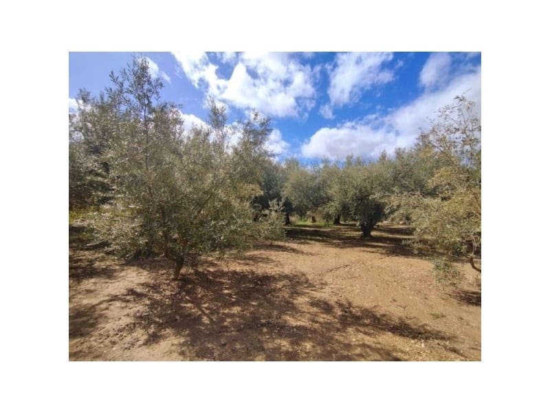 9 bedroom Finca/Country House for sale in Periana with garage - € 159,900 (Ref: 9677060)