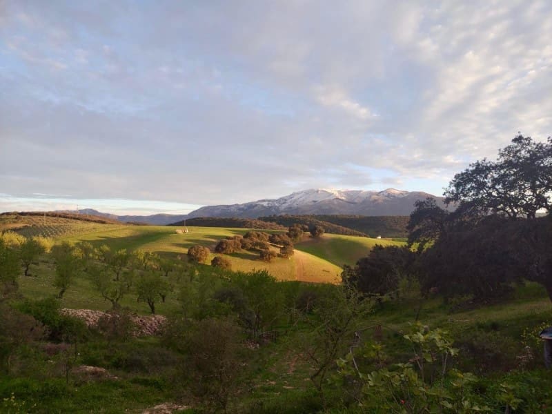 1 soveværelse Finca/Landehus til salg i Alhama de Granada - € 149.000 (Ref: 9850973)