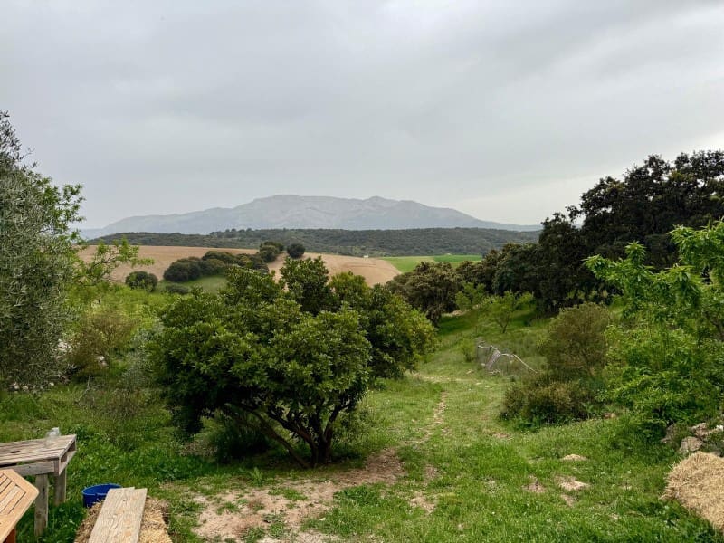 1 soveværelse Finca/Landehus til salg i Alhama de Granada - € 149.000 (Ref: 9850973)