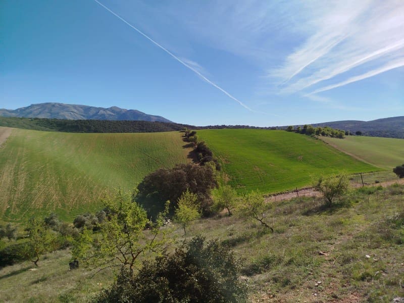 1 soveværelse Finca/Landehus til salg i Alhama de Granada - € 149.000 (Ref: 9850973)