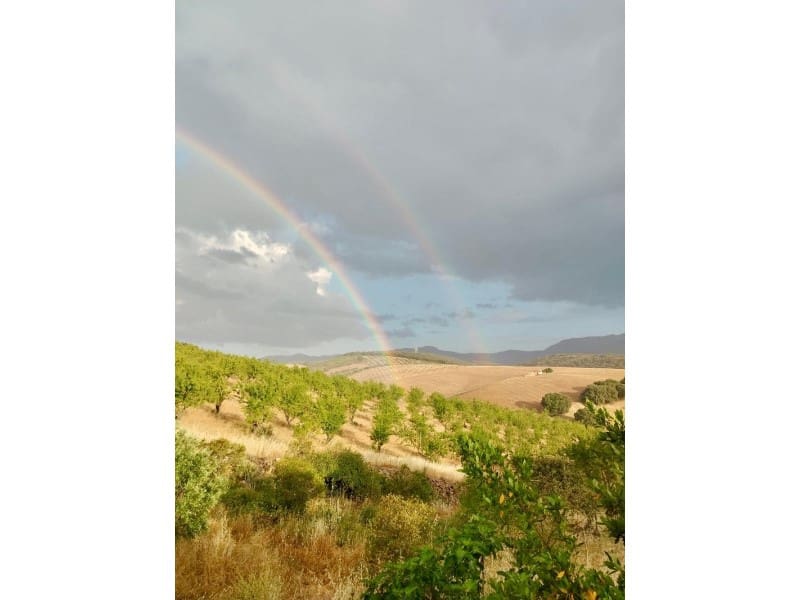 1 soveværelse Finca/Landehus til salg i Alhama de Granada - € 149.000 (Ref: 9850973)