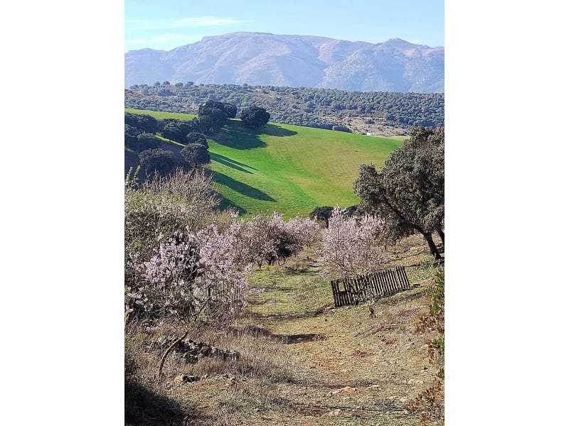 1 soveværelse Finca/Landehus til salg i Alhama de Granada - € 149.000 (Ref: 9850973)