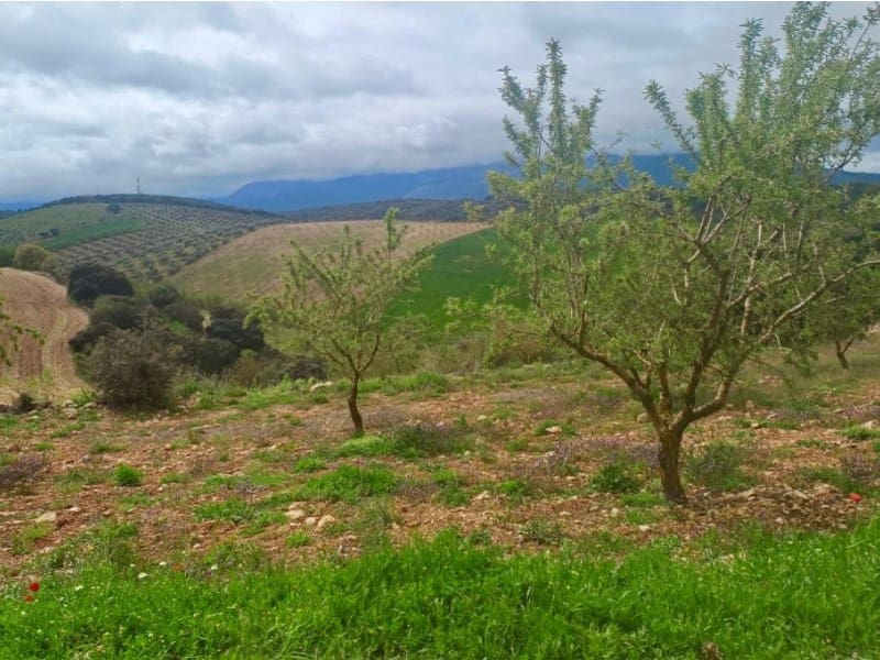 1 soveværelse Finca/Landehus til salg i Alhama de Granada - € 149.000 (Ref: 9850973)