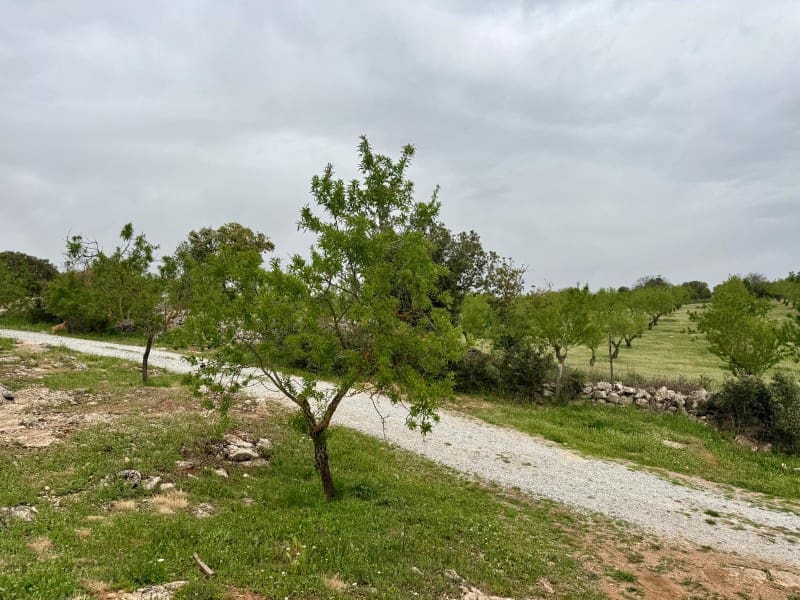 1 soveværelse Finca/Landehus til salg i Alhama de Granada - € 149.000 (Ref: 9850973)