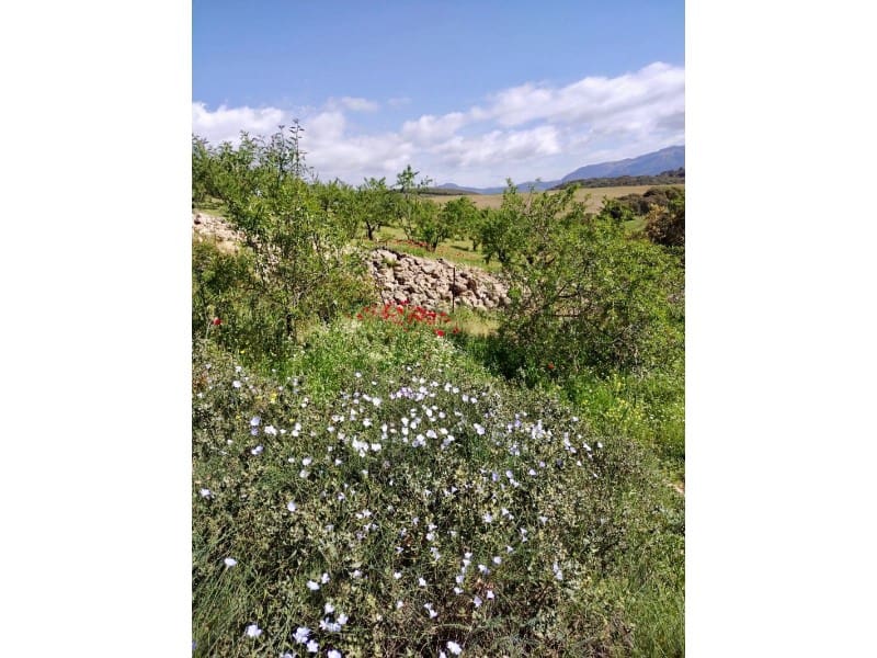 1 soveværelse Finca/Landehus til salg i Alhama de Granada - € 149.000 (Ref: 9850973)