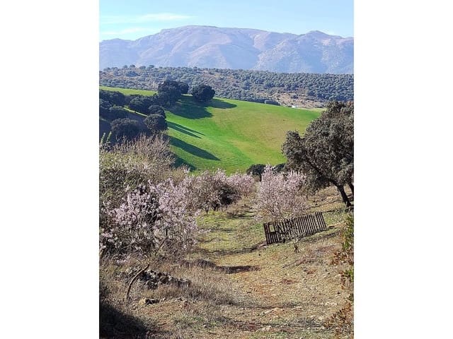 1 soveværelse Finca/Landehus til salg i Alhama de Granada - € 149.000 (Ref: 9850973)