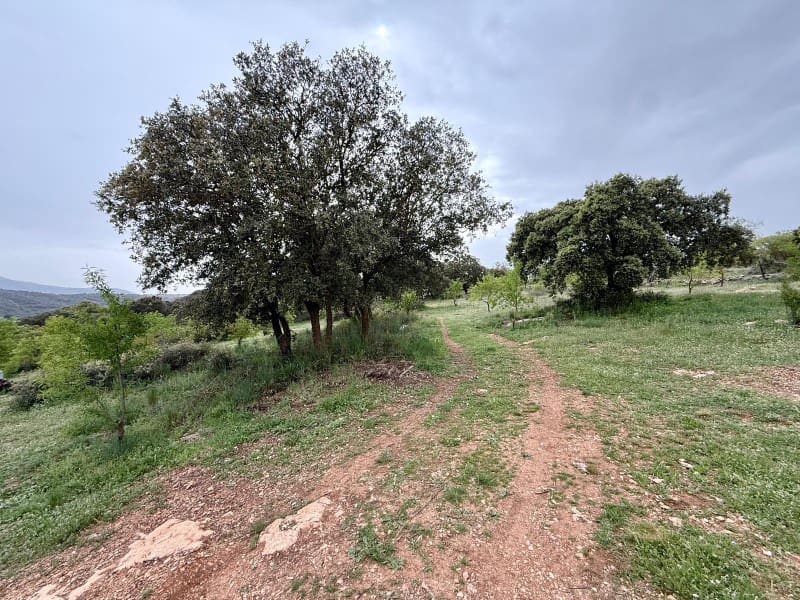 1 soveværelse Finca/Landehus til salg i Alhama de Granada - € 149.000 (Ref: 9850973)