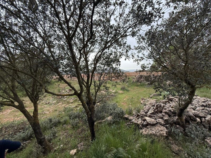 1 soveværelse Finca/Landehus til salg i Alhama de Granada - € 149.000 (Ref: 9850973)