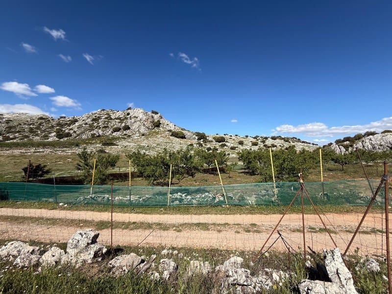 6 soveværelse Finca/Landehus til salg i Alhama de Granada med garage - € 250.000 (Ref: 9850974)