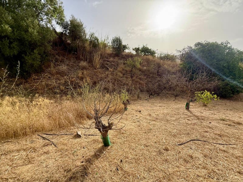 Finca/Landhuis te koop in Vinuela - € 59.000 (Ref: 9990685)