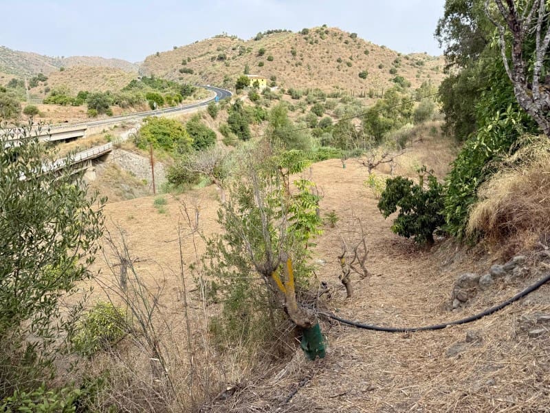 Finca/Landhuis te koop in Vinuela - € 59.000 (Ref: 9990685)