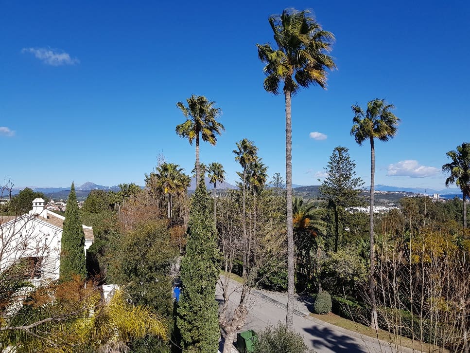 4 soveværelse Bungalow til salg i Sotogrande med swimmingpool - € 1.800.000 (Ref: 5308010)