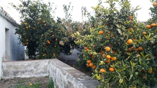 3 soveværelse Villa til salg i Pizarra - € 346.000 (Ref: 9111891)