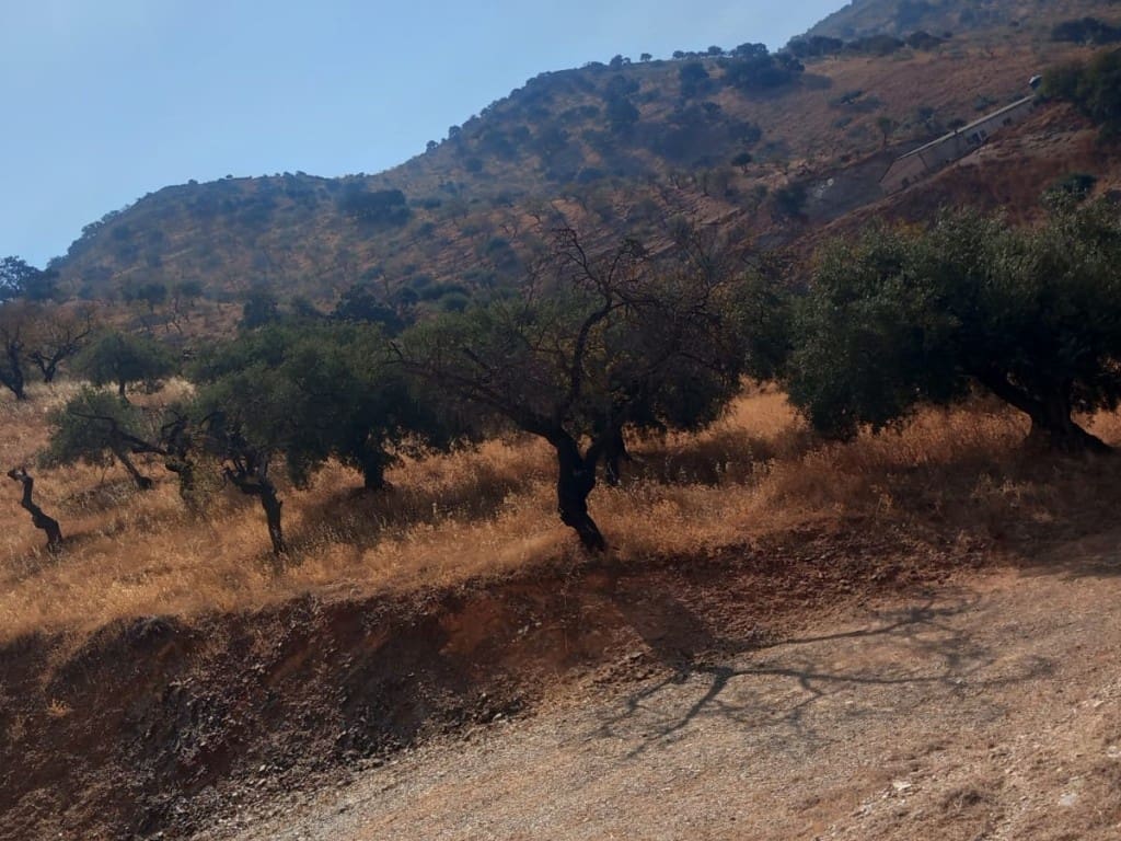 1 slaapkamer Villa te koop in Casabermeja met garage - € 105.000 (Ref: 9468047)