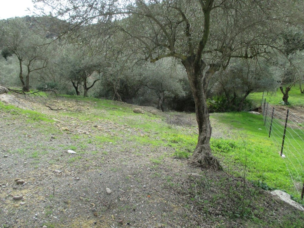 5 sovrum Villa till salu i Almogia med garage - 425 000 € (Ref: 9518391)