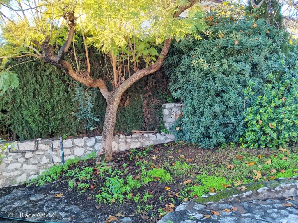 5 bedroom Villa for sale in Campo Mijas with pool garage - € 1,550,000 (Ref: 9697994)