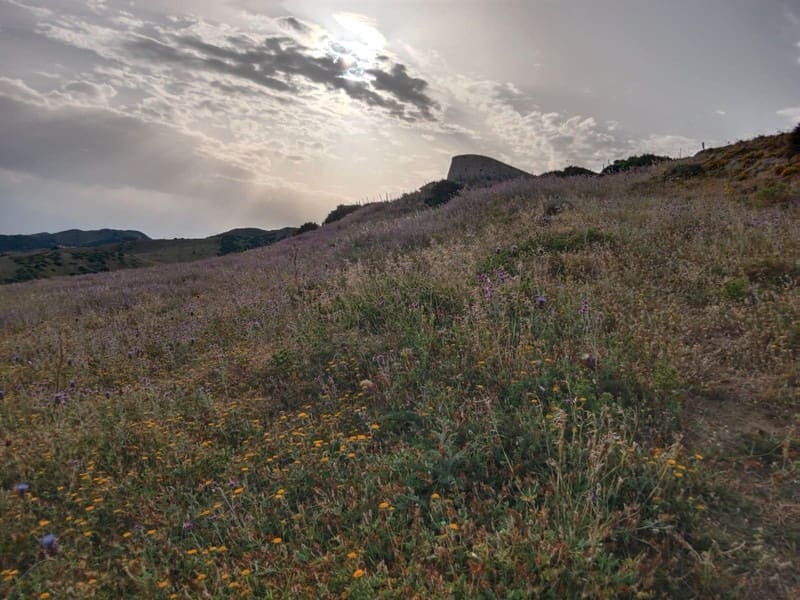 Terreno Não Urbanizado para venda em Tarifa - 600 000 € (Ref: 9949290)