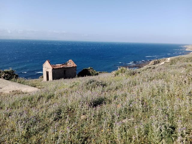 Mark till salu i Tarifa - 600 000 € (Ref: 9949290)