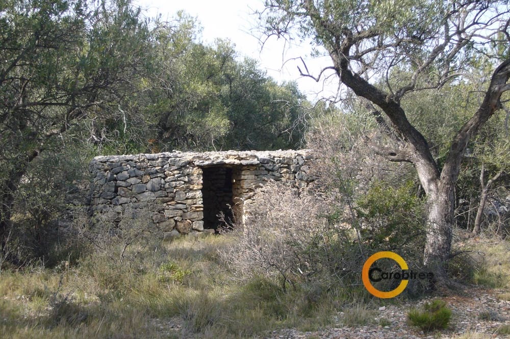 Undeveloped Land for sale in Canet lo Roig - € 21,000 (Ref: 3515518)