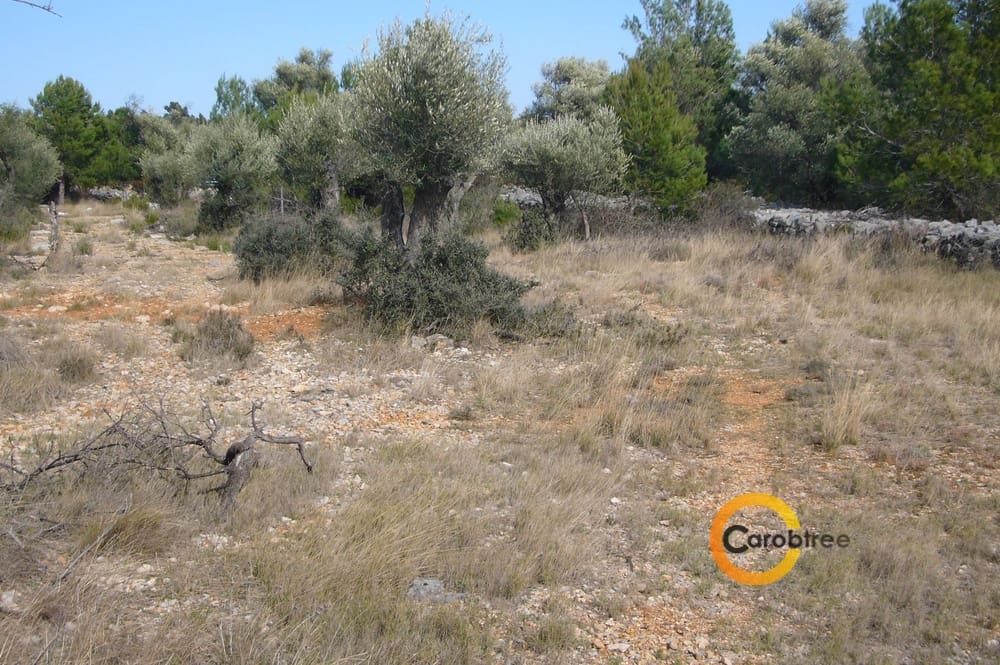Undeveloped Land for sale in Canet lo Roig - € 21,000 (Ref: 3515518)