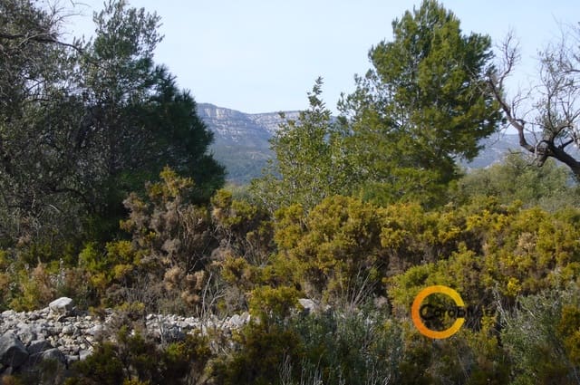 Undeveloped Land for sale in Canet lo Roig - € 21,000 (Ref: 3515518)