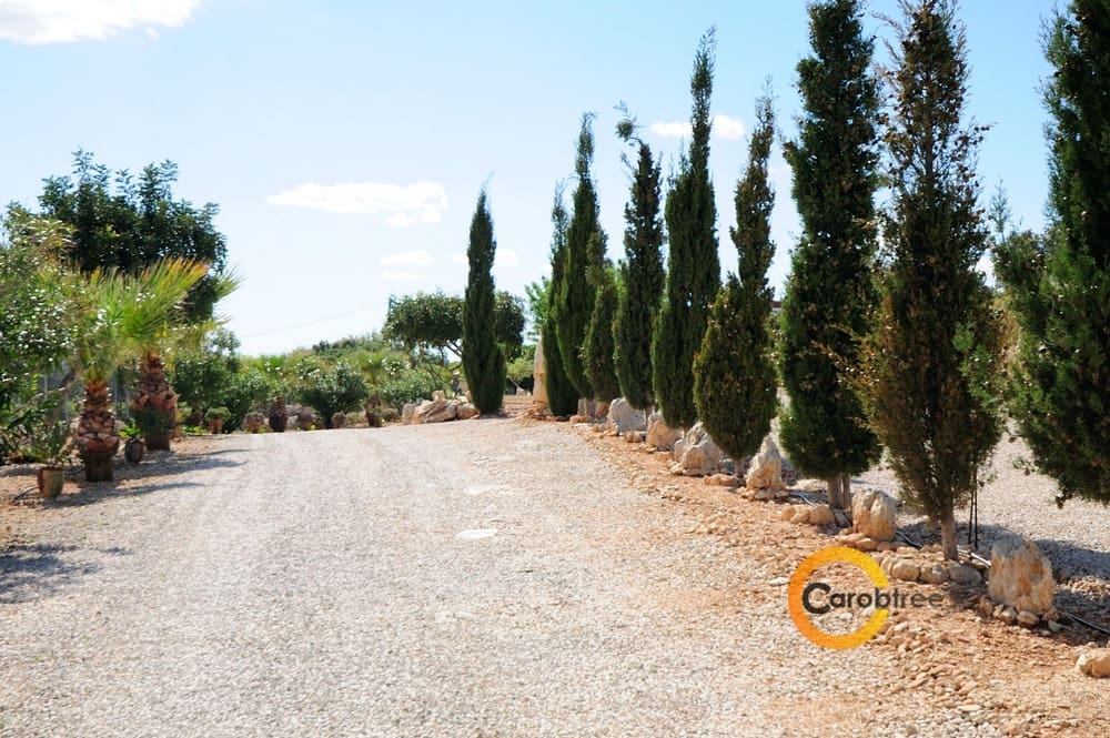 4 soveværelse Villa til salg i Calig med swimmingpool garage - € 565.000 (Ref: 3515546)