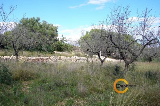 Undeveloped Land for sale in Càlig - € 65,000 (Ref: 3515556)