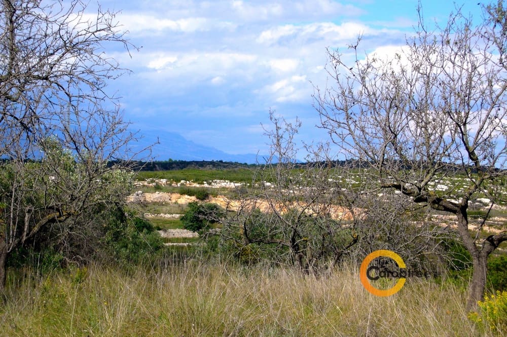 Grunde uden byggetilladelser til salg i Calig - € 65.000 (Ref: 3515556)