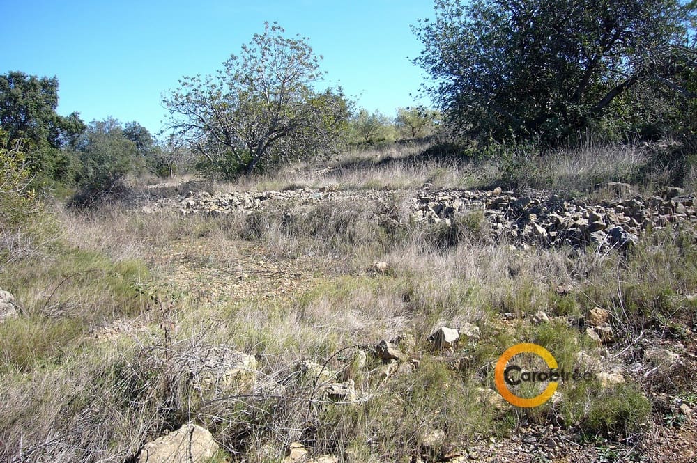 Grond te koop in Cervera del Maestre / Cervera del Maestrat - € 47.000 (Ref: 3515588)
