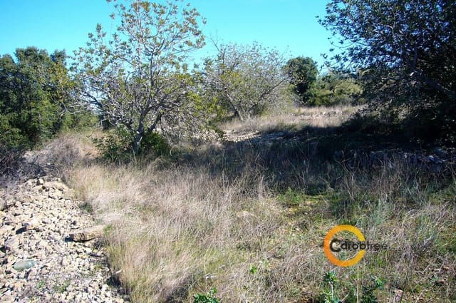 Grond te koop in Cervera del Maestre / Cervera del Maestrat - € 47.000 (Ref: 3515588)