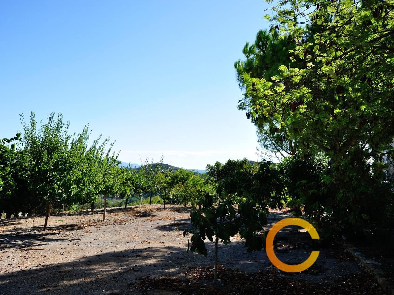 Grond te koop in Cervera del Maestre / Cervera del Maestrat - € 85.000 (Ref: 3530080)