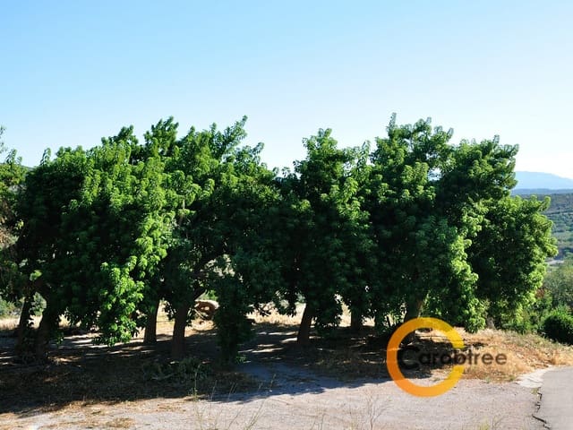 Grond te koop in Cervera del Maestre / Cervera del Maestrat - € 85.000 (Ref: 3530080)