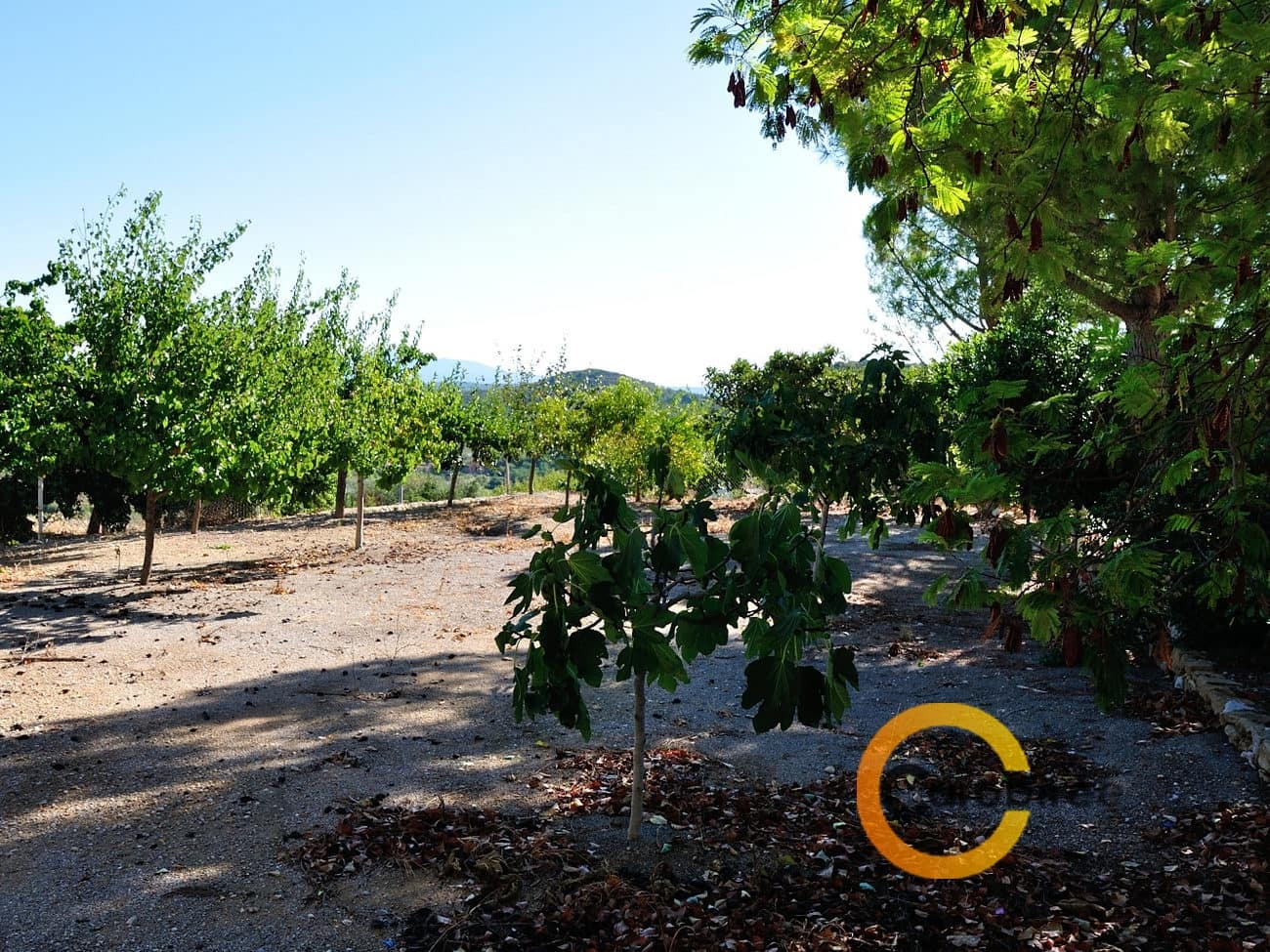 Grond te koop in Cervera del Maestre / Cervera del Maestrat - € 85.000 (Ref: 3530080)