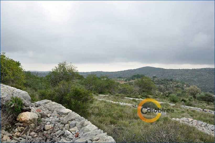 Teren niezagospodarowany na sprzedaż w Cervera del Maestre / Cervera del Maestrat - 350 000 € (Ref: 4290788)