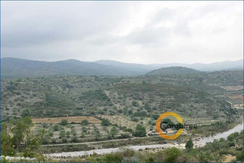 Teren niezagospodarowany na sprzedaż w Cervera del Maestre / Cervera del Maestrat - 350 000 € (Ref: 4290788)