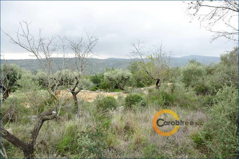 Teren niezagospodarowany na sprzedaż w Cervera del Maestre / Cervera del Maestrat - 350 000 € (Ref: 4290788)
