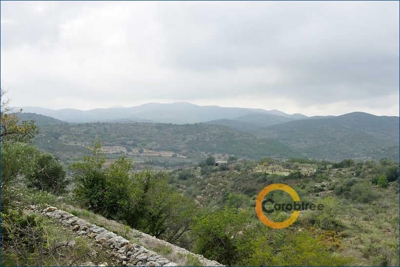 Teren niezagospodarowany na sprzedaż w Cervera del Maestre / Cervera del Maestrat - 350 000 € (Ref: 4290788)