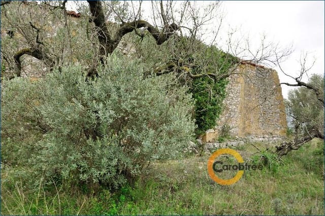 Undeveloped Land for sale in Cervera del Maestre / Cervera del Maestrat - € 350,000 (Ref: 4290788)