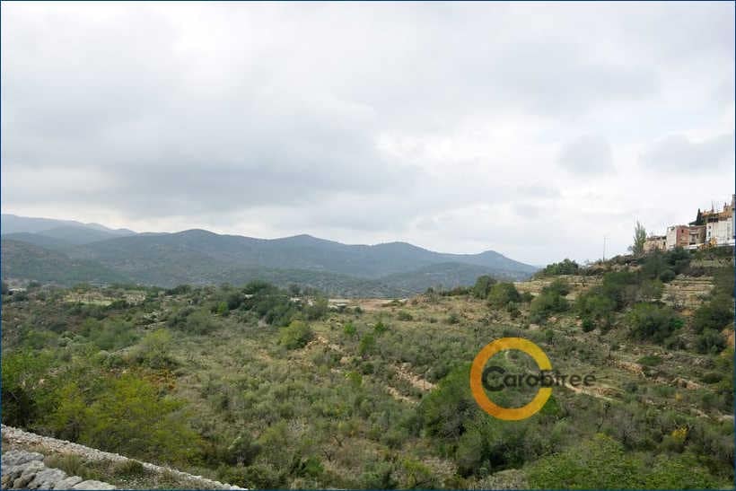 Teren niezagospodarowany na sprzedaż w Cervera del Maestre / Cervera del Maestrat - 350 000 € (Ref: 4290788)