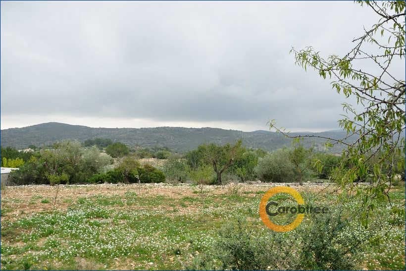 Teren niezagospodarowany na sprzedaż w Cervera del Maestre / Cervera del Maestrat - 350 000 € (Ref: 4290788)