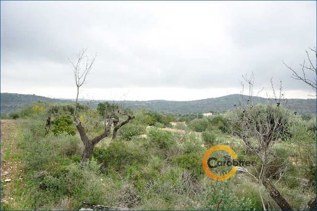 Undeveloped Land for sale in Cervera del Maestre / Cervera del Maestrat - € 350,000 (Ref: 4290788)