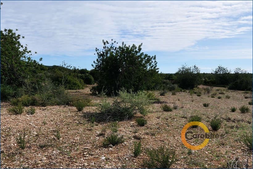 Undeveloped Land for sale in Calig - € 50,000 (Ref: 5069724)