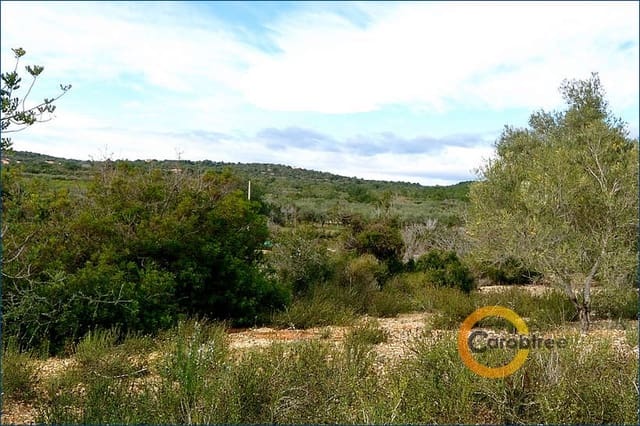 Undeveloped Land for sale in Càlig - € 50,000 (Ref: 5069724)