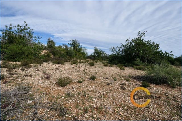 Undeveloped Land for sale in Càlig - € 50,000 (Ref: 5069724)