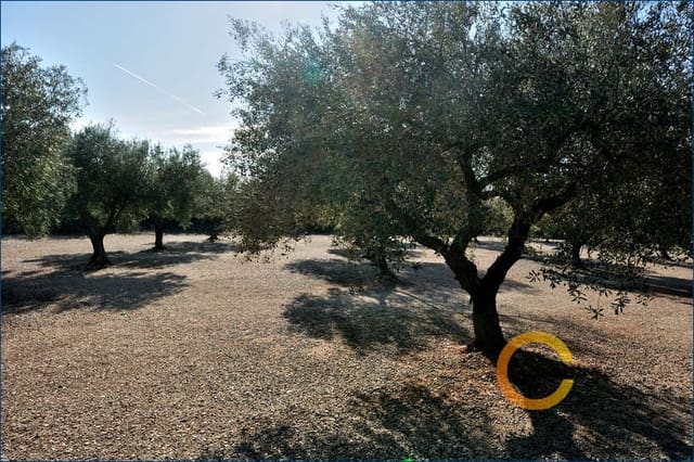 5 soveværelse Villa til salg i Benicarló med swimmingpool - € 550.000 (Ref: 5069725)