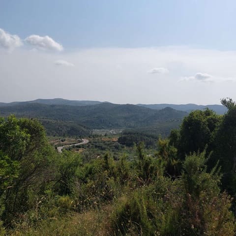 Teren niezagospodarowany na sprzedaż w Cervera del Maestre / Cervera del Maestrat - 21 000 € (Ref: 9072690)