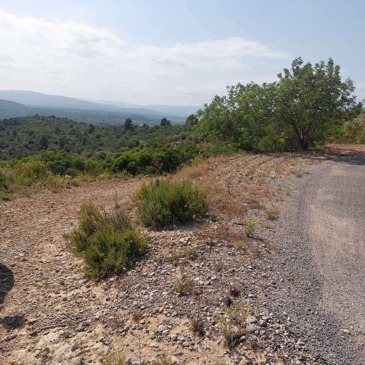 Grunde uden byggetilladelser til salg i Cervera del Maestre / Cervera del Maestrat - € 21.000 (Ref: 9072690)